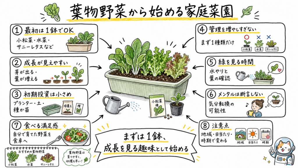葉物野菜から始める家庭菜園のポイントを、1鉢・成長・初期投資・注意点で整理した手書き風インフォグラフィック